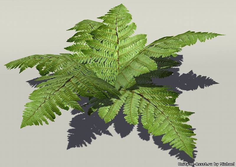 European Foliage and Vegetation